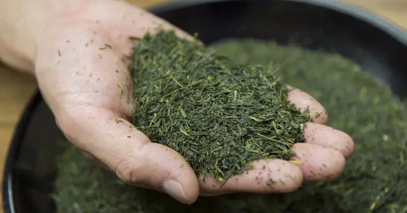 選ばれる理由その② 茶工房かはだは家族経営の農園ではありません！